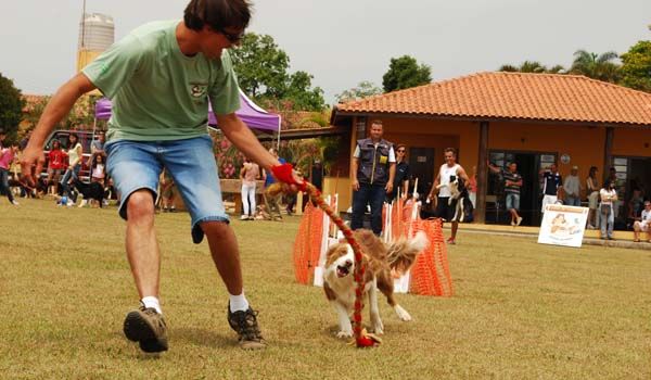 Clube de Cãompo reúne mais de mil pessoas para festejar "Dia do Cão"