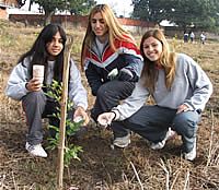 Estudantes de Itu adubam plantas do mega plantio