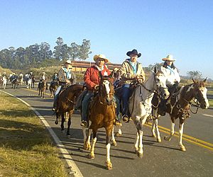 Cerca de 5 mil pessoas participam da 44ª Romaria de Itu a Pirapora