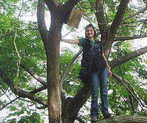 Pesquisa comprova a biodiversidade do Parque das Monções