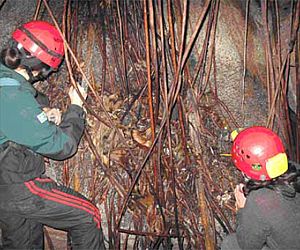 Caracterização preliminar da fauna cavernícola da Gruta do Riacho 