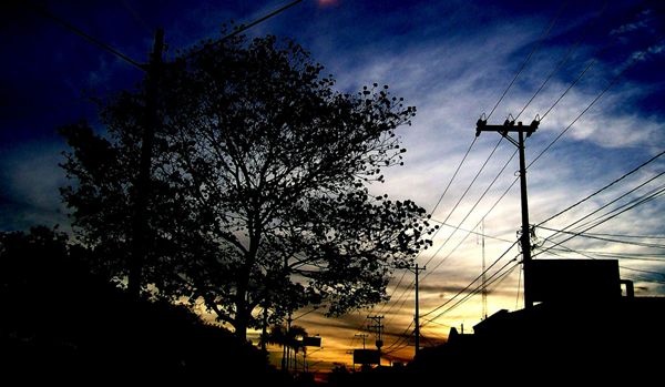 Dia Nacional do Fotógrafo: a arte de escrever com a luz