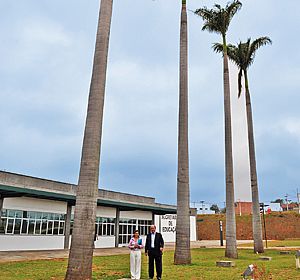 Palmeiras Imperiais são declaradas imunes ao corte