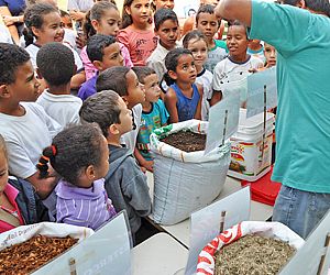 Oficina de compostagem reúne crianças e adultos na Semana da Árvore