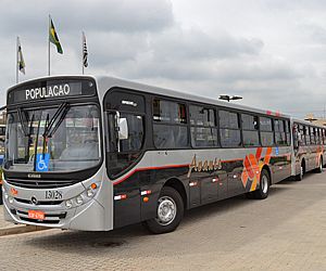 Transporte coletivo municipal ganha 20 novos ônibus