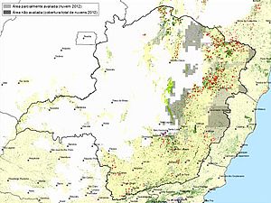 Divulgados novos dados sobre a situação da Mata Atlântica  