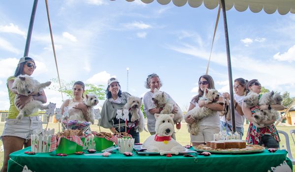 Clube de Cãompo recebe 98 cães na 8ª festa do Encontro de Branquelos