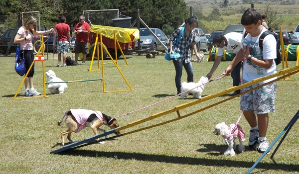 Clube de Cãompo comemora Dia dos Cães com diversão e entretenimento