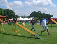 10ª etapa do Campeonato Paulista de Agility ocorreu no Clube de Cãompo