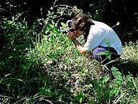 Visite a natureza em forma de arte