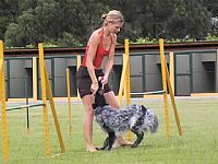 Campeã Mundial de Agility esteve em Itu